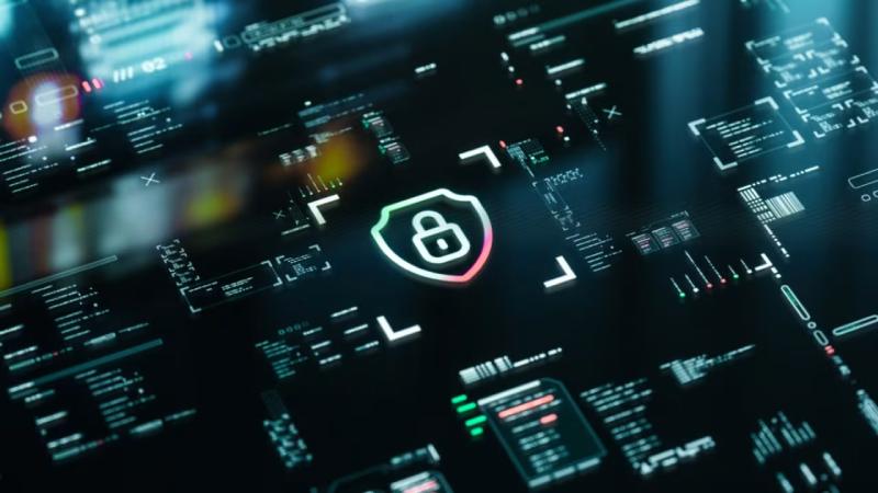 邵武市软件开发公司